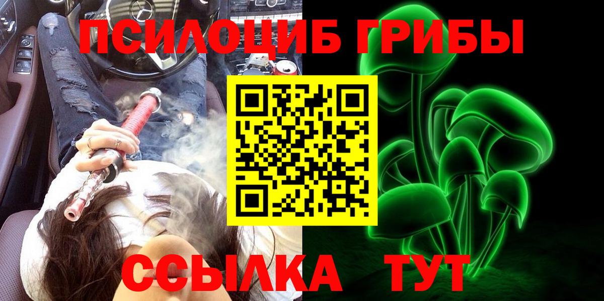 Галлюциногенные грибы мицелий  Вход с VPN  Строитель  Галлюциногенные грибы GOLDEN TEACHER 