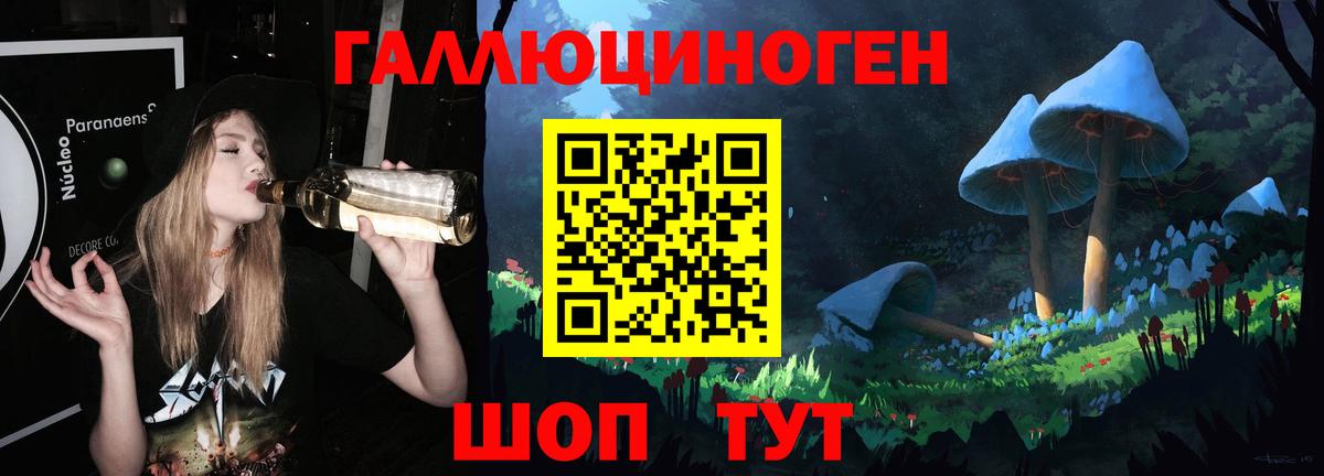 Галлюциногенные грибы Psilocybe Строитель